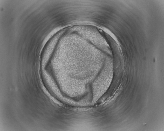 X0000066951005200604211810