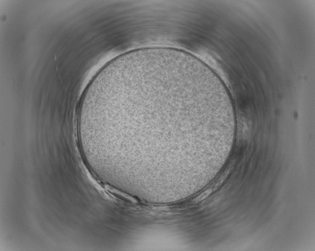 X0000066951006200604211810