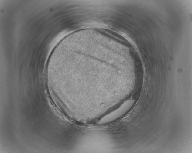 X0000066951008200604211810