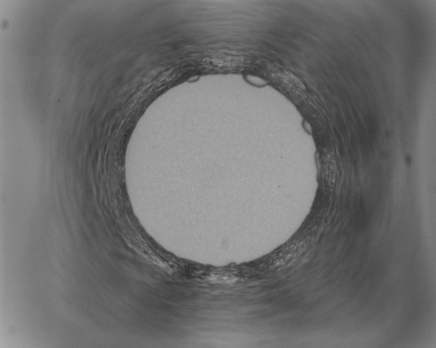 X0000066951009200604211809