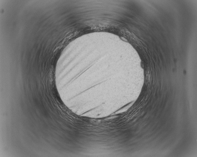 X0000066951012200604211809