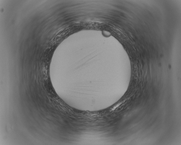 X0000066951013200604211809