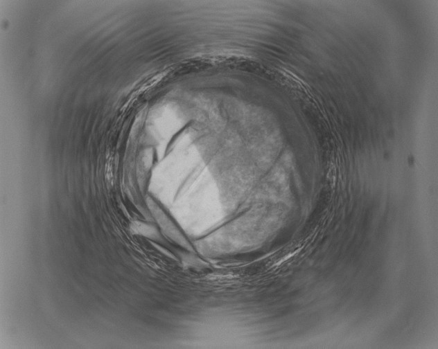 X0000066951014200604211810