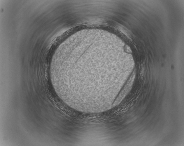 X0000066951016200604211810