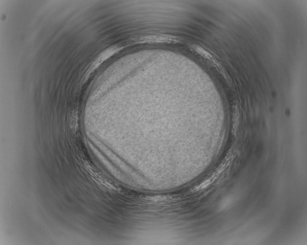 X0000066951017200604211810