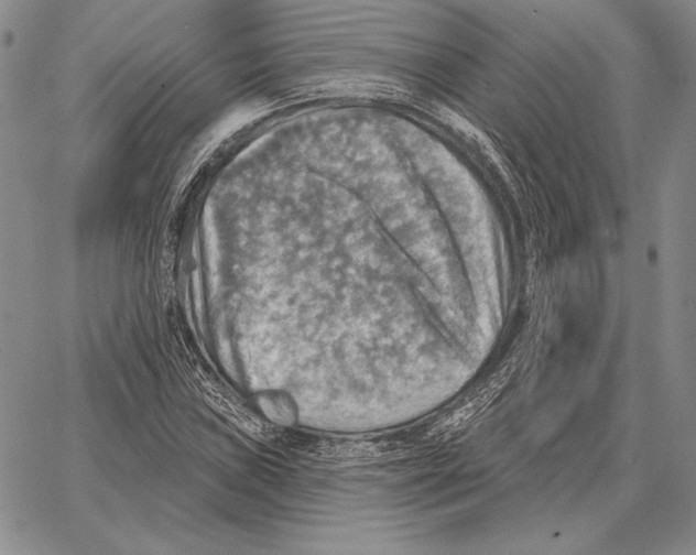 X0000066951019200604211810