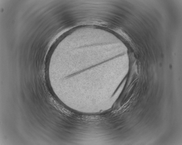 X0000066951020200604211810