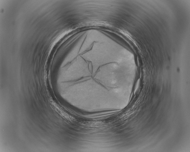 X0000066951024200604211810