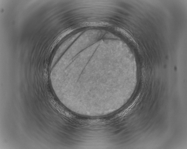 X0000066951025200604211810