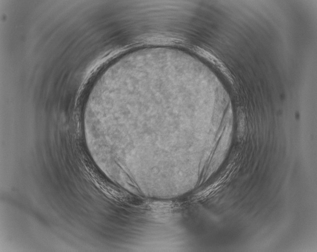 X0000066951027200604211810