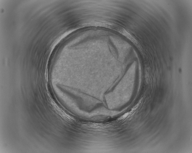 X0000066951028200604211810