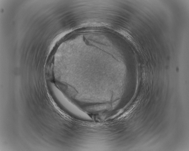 X0000066951030200604211810