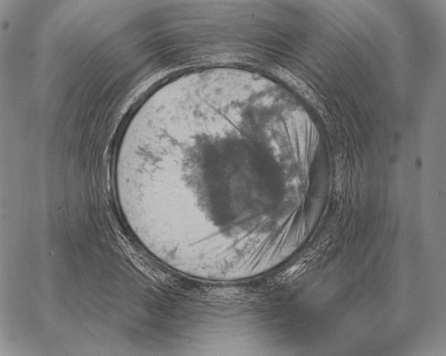 X0000066951031200604211810