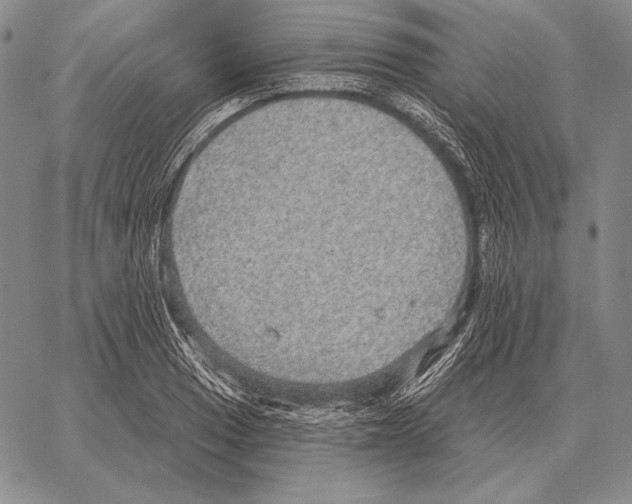 X0000066951033200604211810