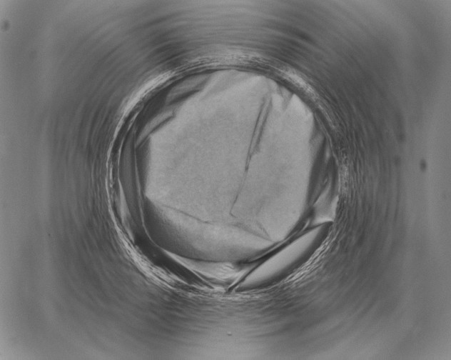 X0000066951034200604211810