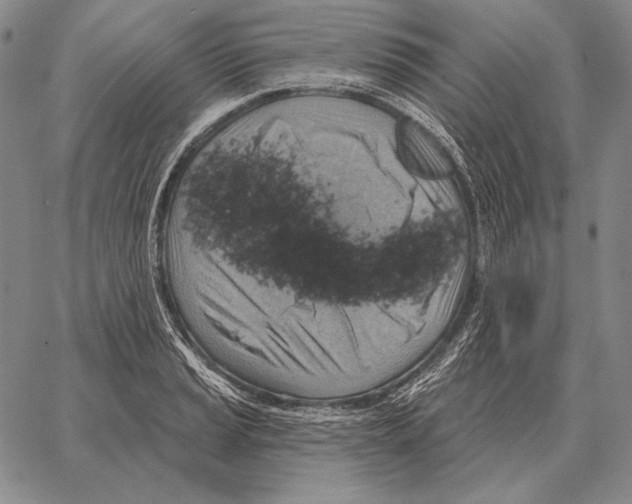 X0000066951037200604211810