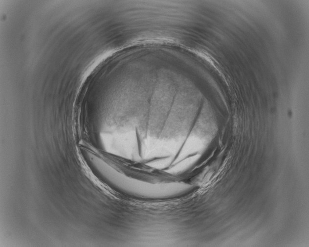 X0000066951038200604211810