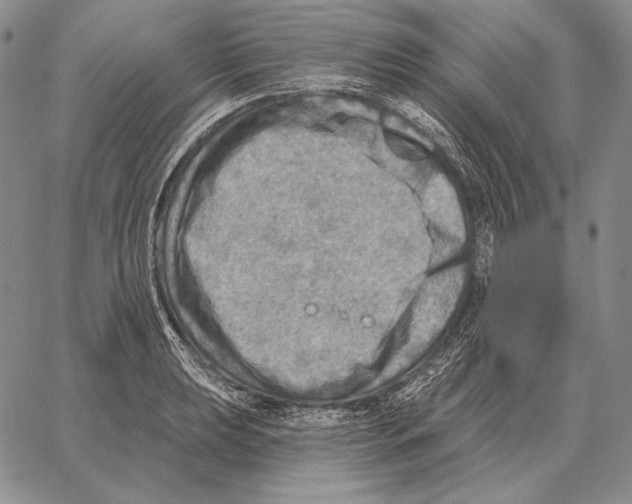 X0000066951039200604211810