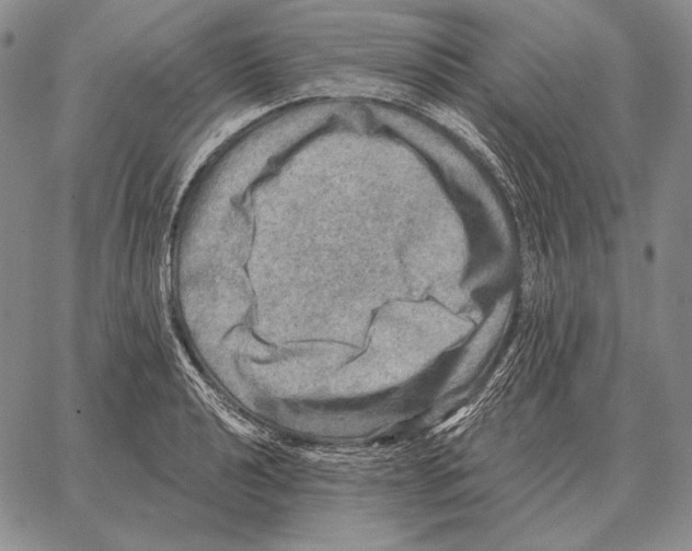 X0000066951040200604211810