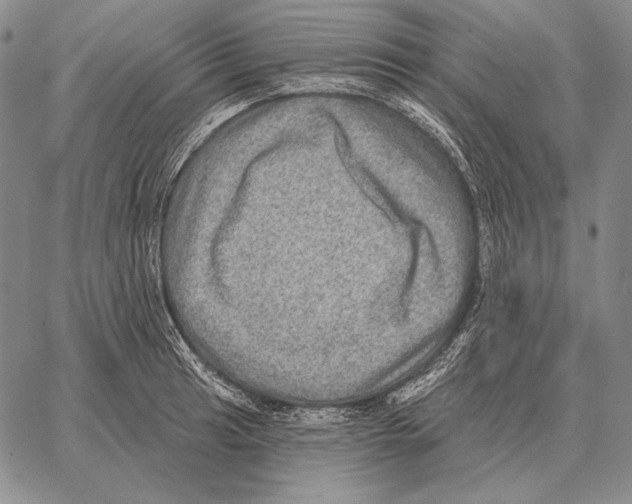 X0000066951041200604211810