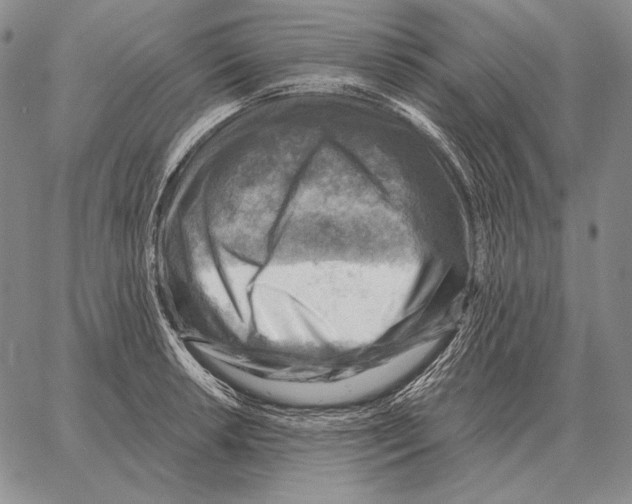 X0000066951042200604211810