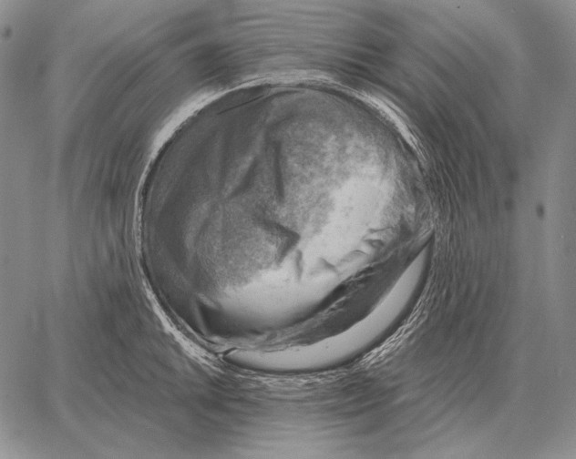 X0000066951046200604211810