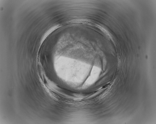 X0000066951050200604211810