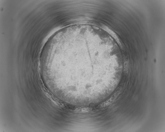 X0000066951051200604211810