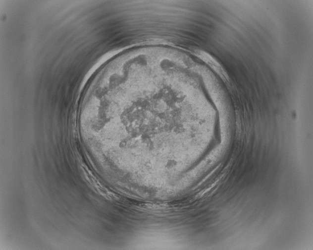 X0000066951052200604211810