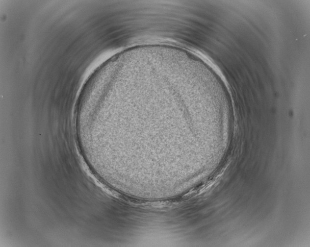 X0000066951053200604211810