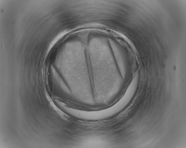 X0000066951054200604211810