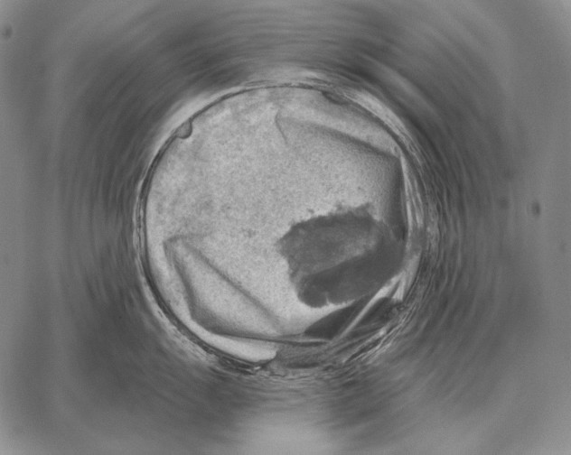 X0000066951055200604211810