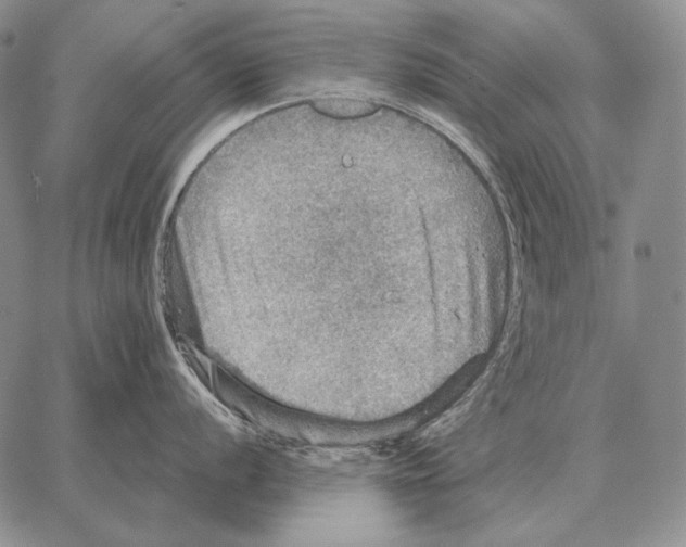 X0000066951056200604211810