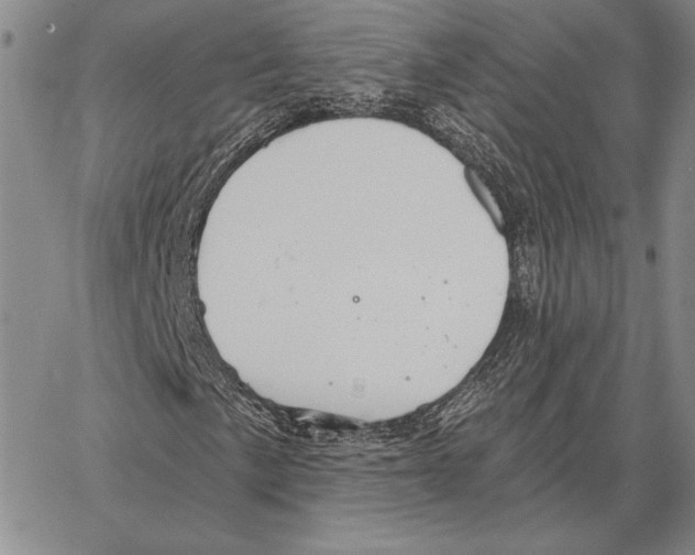 X0000066951057200604211809