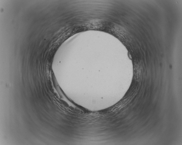 X0000066951058200604211809