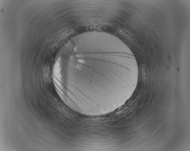 X0000066951060200604211809