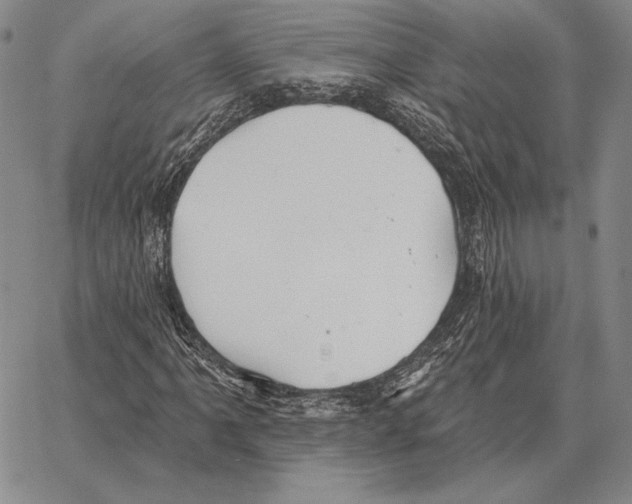 X0000066951061200604211809