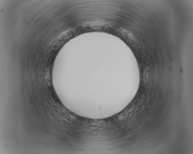 X0000066951062200604211809