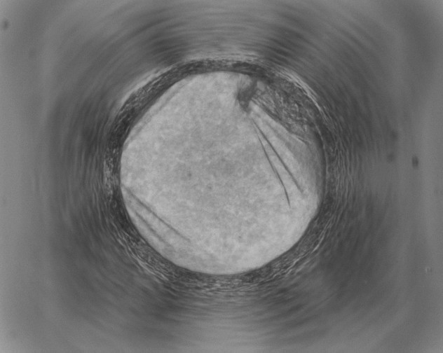 X0000066951064200604211809