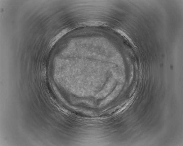 X0000066951065200604211809