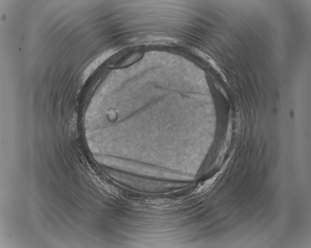 X0000066951066200604211809