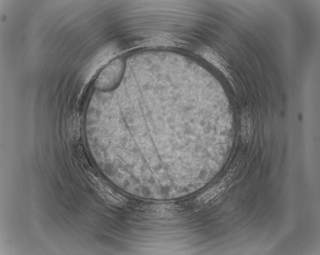 X0000066951067200604211809