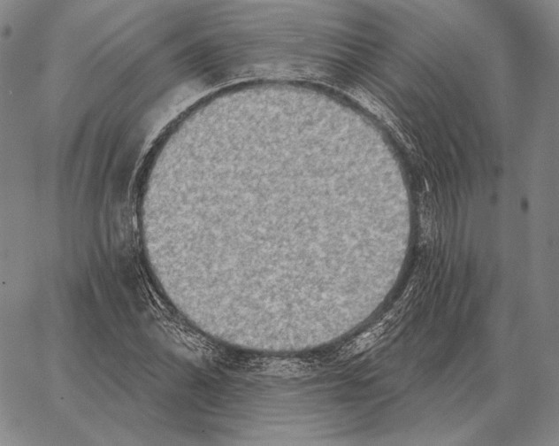 X0000066951070200604211809