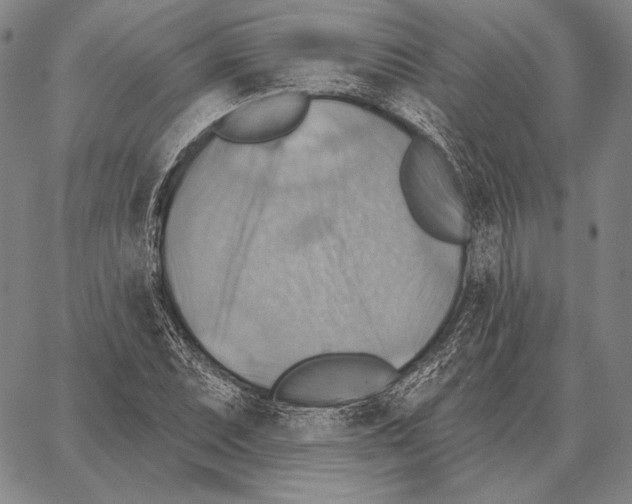 X0000066951071200604211809