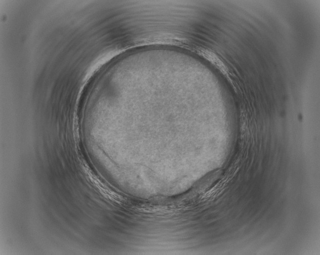 X0000066951072200604211809