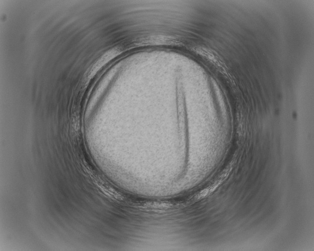 X0000066951073200604211809