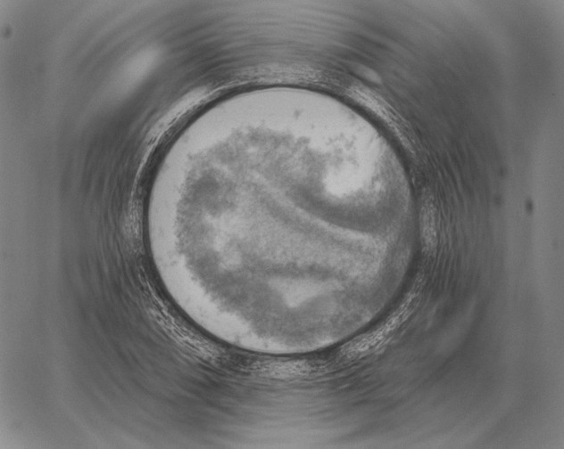 X0000066951074200604211809