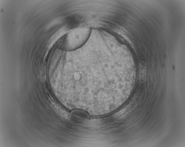 X0000066951075200604211809