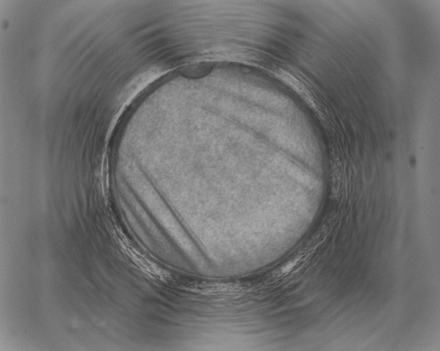 X0000066951076200604211809