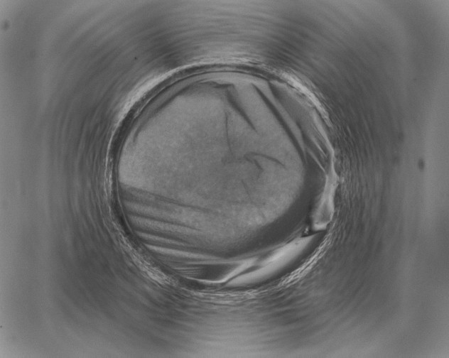 X0000066951077200604211809